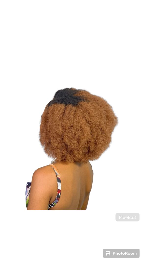 4x AFRO MARLEY KINKY SPRING TWIST - 1B/27/613 - Image 3